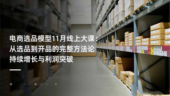 电商选品模型11月线上大课：从选品到开品的完整方法论 持续增长与利润突破