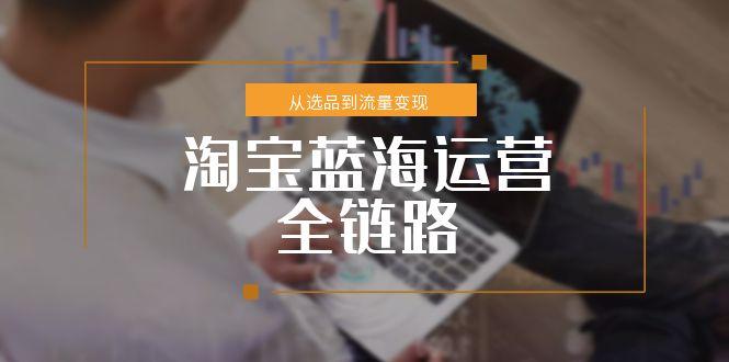 淘宝蓝海运营全链路，从选品到流量变现，小类目突围完整方案