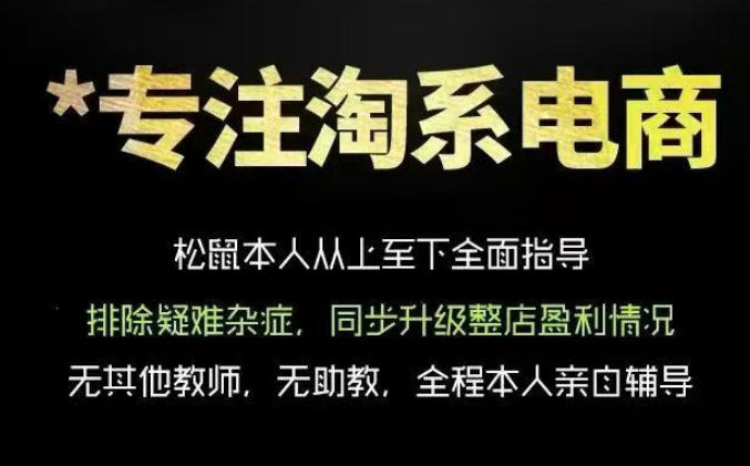 松鼠会电商VIP课程，从基础布局到高阶优化，助你掌握淘宝运营逻辑，提升店铺流量与转化(更新0823)